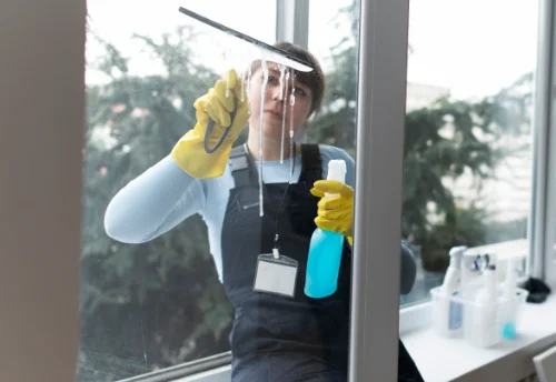 Nettoyage de vitres intérieures et extérieures à Troussey